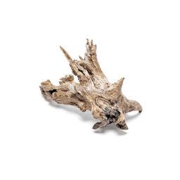 [UNS-MW-S] Madra Wood (Small)