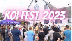[KOI-FEST-2023-1] Koi Fest 2023