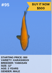[Koi Auction- #95 - Karashigoi] Koi Auction- #95 - Karashigoi